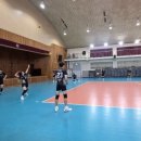 프로발리볼센터 이미지