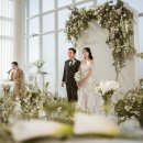 트라디노이 이미지