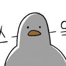 통정8로 이미지