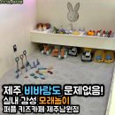 지에스25 제주남원점 | 제주 서귀포 여행 아기랑 가볼 만한 곳, 실내 모래놀이가 있는 오션뷰 퍼플 키즈카페 남원점