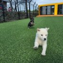 제주특별자치도 동물위생시험소 (동물보호센터) 동물병원 이미지