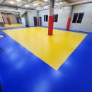 용인대체육관 이미지