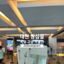 자유여행✈️ DAY+2] 대만 쌍십절 세계4대 박물관 투어 가다✨ (국립대만고궁박물관/이지타이완/노점소세지)