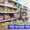 백평애견용품