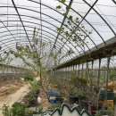 영암농장 | 영암 꽃따리농장 출강 후기｜도우아트 지도사 자격증반 출장 클래스