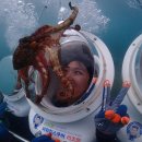 서귀포전문센터 이미지