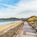 호미반도해안둘레길 이미지