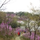 선사시대로 탐방 길(선사1코스) 이미지