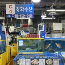 강서수산시장 C4 강화수산 포장해온 후기
