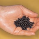 덕수한의원 이미지