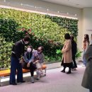 남악복합주민센터 이미지