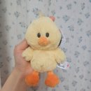 뻬이 | 대만 기념품 NICI 키링 겸 뻬이따이 후기 강력 추천🤍🩷