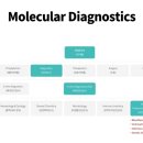 주식회사 메디플랫폼 이미지