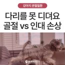 디딤메디컬 네이버블로그