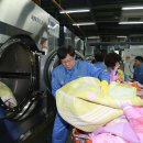 포스코세탁 이미지