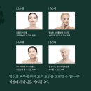 피엘헤어 이미지