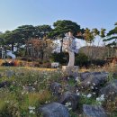 바우지움 조각 미술관 이미지