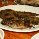 라이프앤투어 이미지