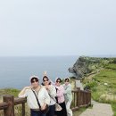 (주)제주친구 | 제주도 카니발 대절 투어 후기! 제주에서 친구들과 즐긴 편안한 여행
