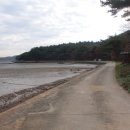 지용산인 이미지