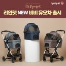 비비펫 이미지