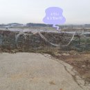 송산중앙공인중개사사무소 이미지