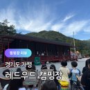 도대1로 | 경기도 키즈캠핑장 추천 가평 레드우드 캠핑장 체험수업 당일캠크닉 후기