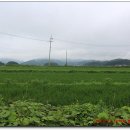 부윤1리 이미지