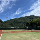 단양공설정구장 이미지