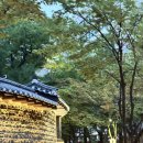 수라간식당 이미지