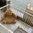 살롱드베베