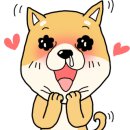 (주)마코펫 네이버블로그