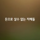 삶의 지혜들 이미지