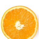오렌지 이미지