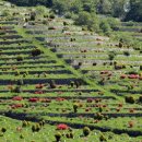 전주 승화원 이미지