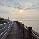 펜션 이상한 앨리스 | 아이와 함께 힐링 갯벌체험, 강화도 커플 펜션 이상한 앨리스