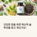 파이어씨드 | 장 건강 유산균, 퓨리피카 파이어 효과 입증 사례