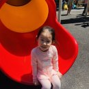 고추말공원 Daum카페
