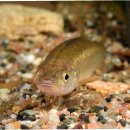 무진양식장 이미지