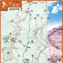 1117 이미지