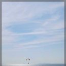 임실치즈피자 N치킨 이미지