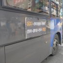 세운버스 이미지
