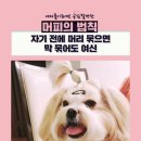 공감 이미지