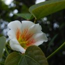 토산초등학교 이미지