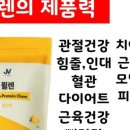 앨리스인크루즈