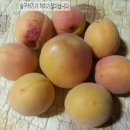 이재익 농장 이미지