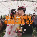 플로르드로토