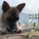 16 이미지