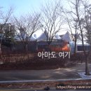 고향보신탕 | 모란시장 부속구이 도전기, 돼지부속 무한리필 은행동집 내돈내산 후기