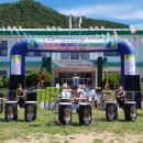 어룡초등학교 이미지